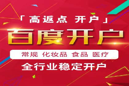 SEM运营公司成功案例解析